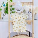 C26-Gấu Vàng Cộc