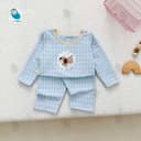 Bộ Caro Xanh Dương